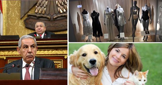 إحصاءات رسمية تكشف مفاجآت حول "السلع الاستفزازية".. 259 مليون دولار واردات مصر من "قمصان النوم والسراويل الداخلية".. 453 مليون فاتورة "أكل الحيوانات والصابون والمبيدات".. و"التجارة": لا يمكن حظر استيراد أى سلعة