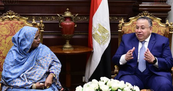 السيد الشريف يلتقى نائبة رئيس المجلس الوطنى السودانى فى مكتبه بالبرلمان (صور)