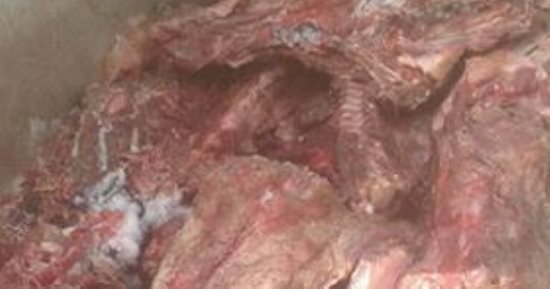 صور.. ضبط 7حمير مذبوحه قبل بيعها لمحلات مأكولات بالخانكة