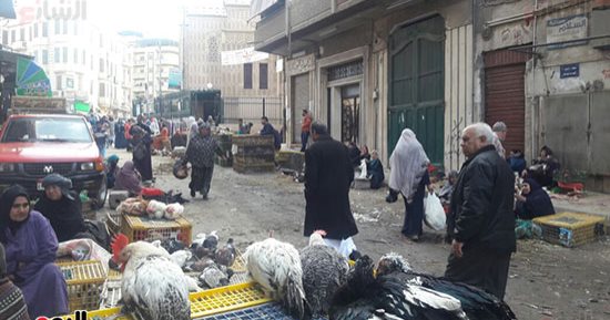  صور.. ارتفاع أسعار الدواجن فى البحيرة وركود بالأسواق