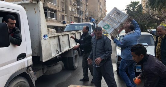إزالة عربات الباعة الجائلين وإشغالات الطريق شرق الإسكندرية