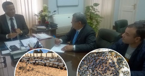 كنوز زراعية منسية فى مصر.. الحكومة تبحث اعتماد منظومة جديدة لزيادة منتجات النحل.. "الزراعة": نستهدف رفع الصادرات لـ50 مليار جنيه بدلا من 500 مليون.. فتح أسواق خارجية جديدة.. وتكشف: بدء المرحلة الأولى بالصعيد