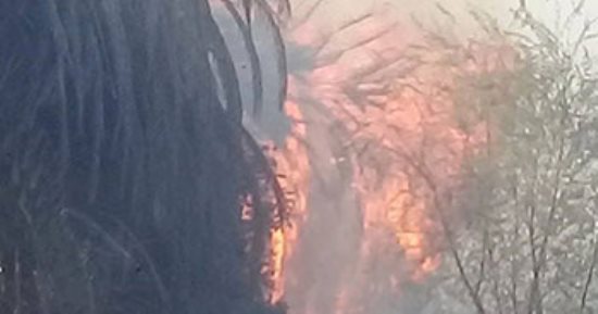 النيابة تنتدب المعمل الجنائى لفحص حريق مزرعة موسى مصطفى موسى بالجيزة