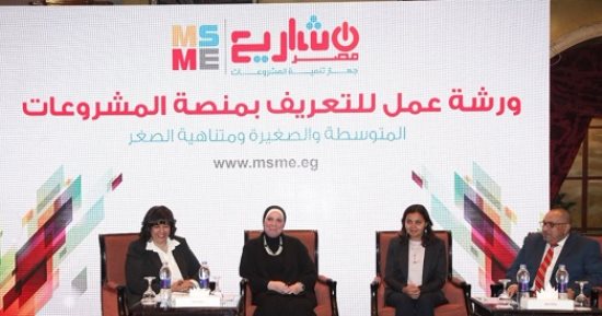 جهاز تنمية المشروعات يعقد ورشة عمل للتعريف بالمنصة الإلكترونية