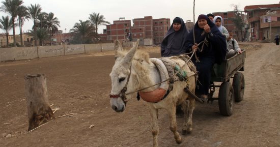 صورة اليوم.. فالناس موتى وأهل العلم أحياء