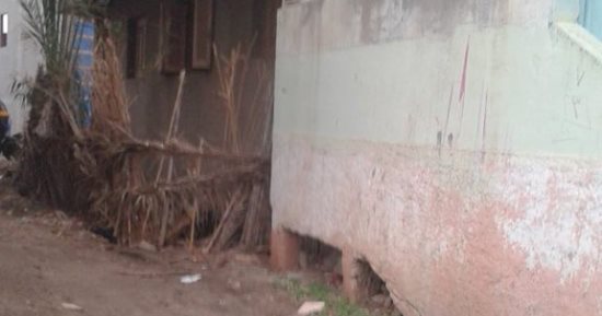 صور.. قارئ يشكو من إشغالات سكان قرية أبو جريدة محافظة دمياط