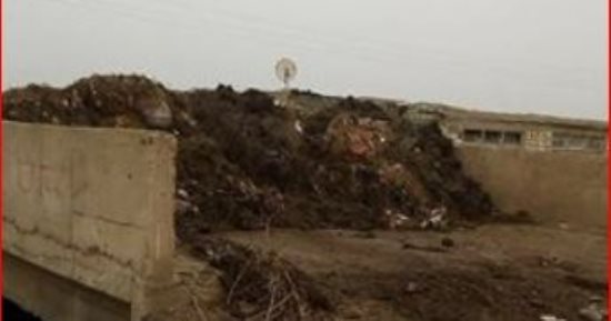 أهالى عزبة الإبراهيمية بالدقهلية يطالبون زيادة الدوريات الأمنية للحد من السرقات 