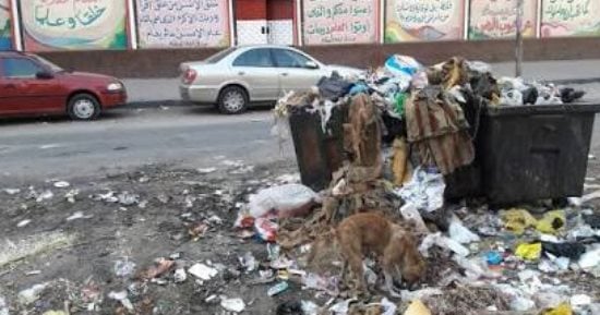 شكوى من تراكم القمامة بشارع سليم الأول فى الزيتون