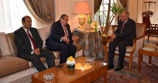 أبو الغيط ينوه لأهمية دور القطاع الخاص العربى كمحفز للنشاطات التنموية
