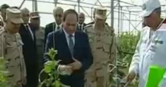 الرئيس السيسي يوجه بضبط أسعار منتجات الصوب الزراعية