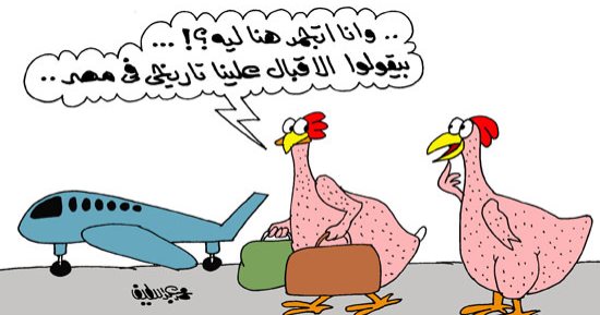 "فراخنا بالخارج بتفكر فى العودة لأرض الوطن" بكاريكاتير "اليوم السابع"
