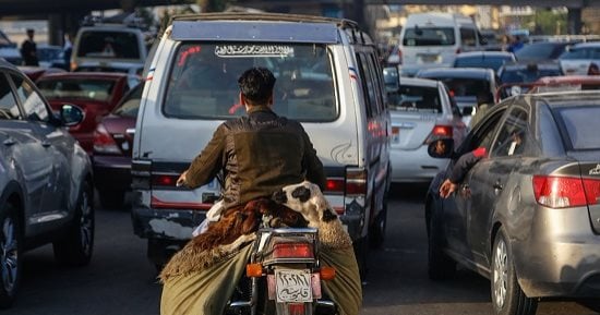 صورة اليوم.. ياما فى الزحام حكايات