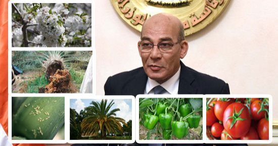 "الزراعة" تعلن بدء 3 وحدات فى التوسع بإنتاج المخصبات الحيوية للحد من استهلاك الأسمدة.. تواجه مافيا الاتجار بحملات رقابية للتأكد من تطبيق المواصفات.. تحظر بيع المسجل بالجمعيات.. وتؤكد: المنتج يحقق 13 فائدة
