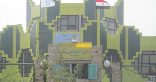 س و ج.. كل ما تريد معرفته عن محمية أشتوم الجميل وجزيرة تنيس الأثرية ببورسعيد