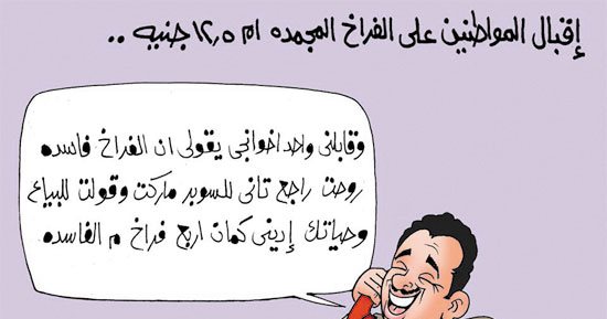 اضحك على ما تفرج .. الفراخ البلدى معدش ليها عيش فى البلد دى