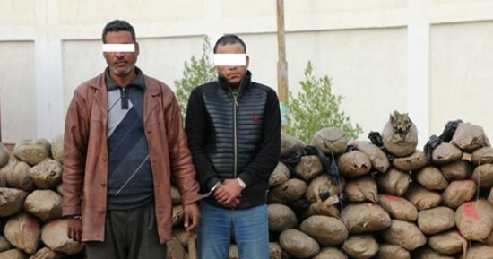 صور.. الداخلية تحبط تهريب 2 طن بانجو عبر قناة السويس