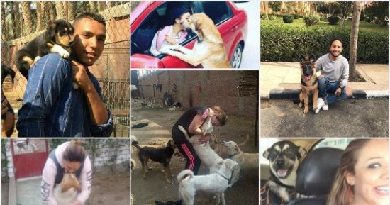 حكايات أبطال إنقاذ الحيوانات فى مصر.. فاطمة: بعت بيتى لأعيش مع 100 كلب.. وشيماء: حبى للحيوانات وراثة.. ومن يرفق بالحيوان يرحم الإنسان.. أحمد: نفسيتنا تتأثر كلما ماتت حالة أنقذتها.. رامى: قطة غيرت حياتى 180 درجة