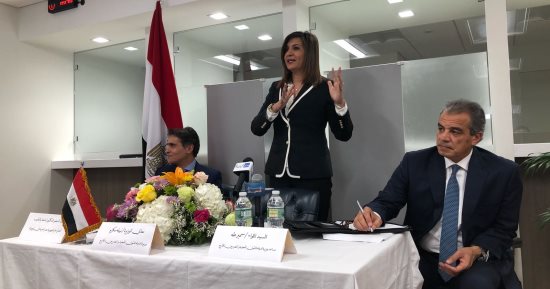 المصريون بالخارج يؤكدون دعمهم للقوات المسلحة والشرطة فى العملية "سيناء 2018"