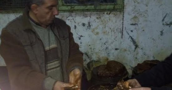 ضبط 2 طن و610 كيلو فسيخ وسردين مملح غير صالحة للاستهلاك الآدمى بكفر الشيخ