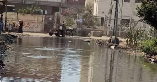 شكوى من الإهمال وانتشار الصرف الصحى بشارع الجرجاوى فى الدقى