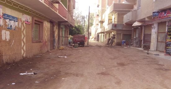 صور.. أعمدة الإنارة وسط الطريق فى قرية سبك الضحاك بالمنوفية