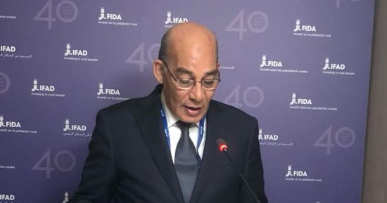 "الزراعة" تستعد لشم النسيم بـ8 إجراءات.. أبرزها الرقابة على مصانع الأسماك