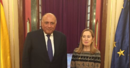 سامح شكرى يلتقى رئيسة مجلس النواب الإسبانى خلال زيارته لمدريد.. صور