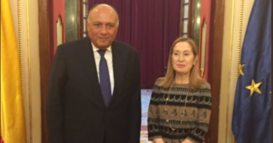 المتحدث باسم الخارجية ينشر فيديو جولة سامح شكرى مع رئيسة مجلس النواب الإسبانى
