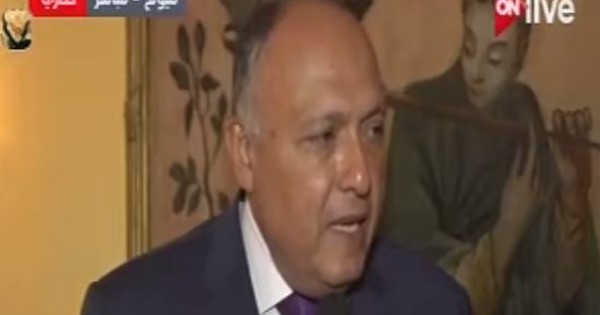 وزير الخارجية: مخاطر الإرهاب تتزايد بعد نجاحات استئصاله من العراق وسوريا