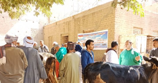 صور.. الزراعة: القوافل الإرشادية والبيطرية تختتم برنامجها المكثف فى أسيوط