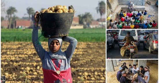 الشارع فى أسبوع.. أيادى العمال تحمل الخير.. كواليس عمال البناء شكل تانى.. وجوه سمراء فى الحقول المصرية.. والقمح الليلة ليلة عيده.. ياما جوا حواريها حكايات.. والشارع شايل ضحكة فى الزحام
