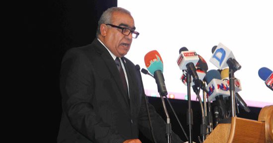 فوز جلال الهريدى برئاسة حزب حماة الوطن بالتزكية