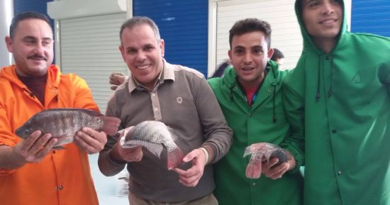 صور.. محافظ كفر الشيخ: طرح أسماك مشروع غليون الشهر المقبل بأرخص الأسعار.. المزرعة تنتج 2750 طنا يوميا.. ويؤكد: خفض الاستيراد 27%.. والمشروع يوفر 15 ألف فرصة عمل.. وبدء إنشاء المدينة الرياضية بـ3.5 مليار جنيه