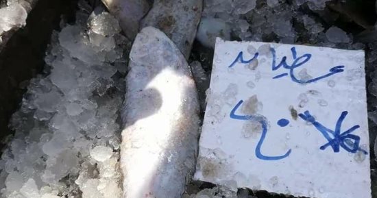 "كلنا معاك من أجل مصر" تطلق مبادرة لبيع السلع الغذائية بأسعار مخفضة ببورسعيد