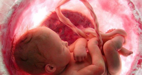 اعرف جسمك.. الإستروجين.. كيف يتحكم هرمون فى نحت وتطوير  جسد الرجل والأنثى