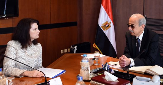 صور.. بدء لقاء رئيس الوزراء بوزيرة التجارة السويدية لبحث سبل التعاون المشترك 