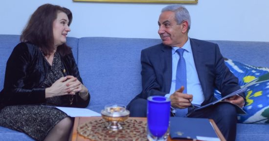 طارق قابيل يبحث مع وزيرة التجارة السويدية مستقبل التعاون بين مصر والسويد