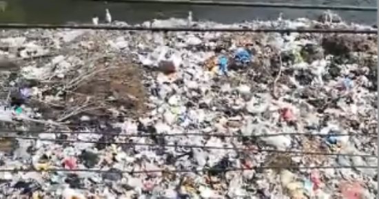 شكوى من تراكم القمامة بشارع مسجد فجر الإسلام بالقليوبية