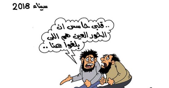 اضحك مع طرائف دواعش سيناء والحور العين.. بكاريكاتير اليوم السابع
