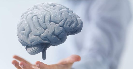 دلع جسمك.. التوت والشيكولاتة لصحة المخ وتحسين الذاكرة