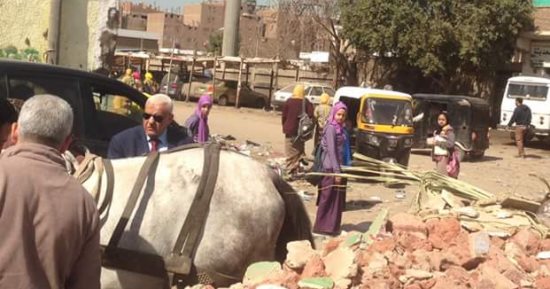 ضبط "عربة كارو" تلقى مخلفات هدم أمام مدرسة فى شبرا الخيمة 