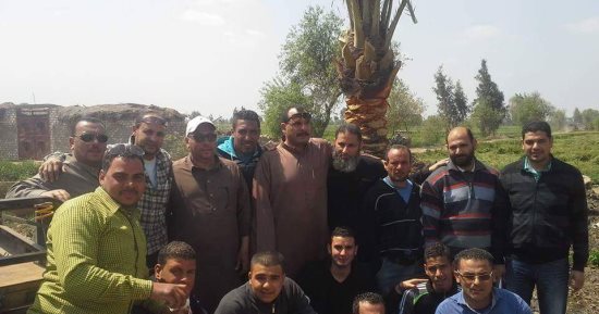 صور.. شباب قرية الطيبة بالدقهلية يتبنون مبادرة لزراعة النخيل وإنارة الطرق ورصفها