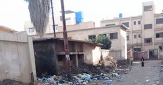 قارئ يشكو من تهالك أعمدة الإنارة أمام مدرسة الشهيد عارف بالدقهلية