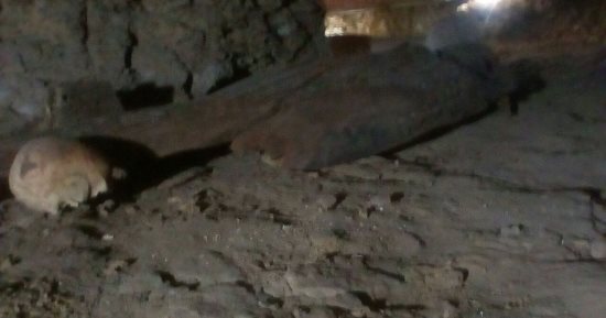 صور.. شاهد محتويات المقابر الأثرية المكتشفة بتونا الجبل فى المنيا