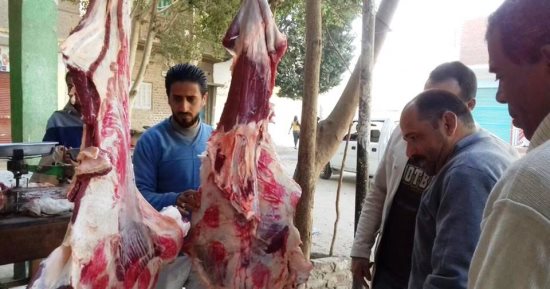 تحرير 7 محاضر مخالفة فى حملة تموينية بمدينة جهينة بسوهاج