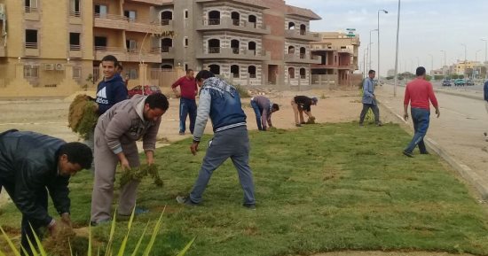 حملة تطوير جديدة لزراعة 2500 نخلة فى مداخل ومخارج وميادين مدينة الشروق