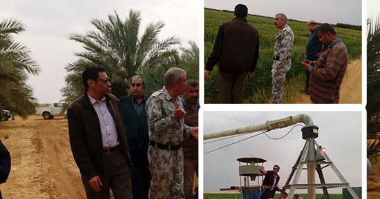 صور.. وزير الزراعة يتلقى أول تقرير من على الحدود المصرية حول التصدى للحشرة الجياشة لعرضه على مجلس الوزراء.. "المكافحة" تعلن استمرار  أعمال الرصد.. وتؤكد: لم نرصد أية حالات إصابة بالأراضى الزراعية المصرية