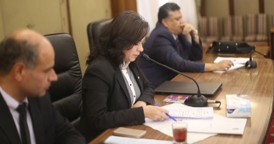 مستشار وزيرة التخطيط للنواب: حوار مجتمعى حول استراتيجية 2030 الأسبوع المقبل