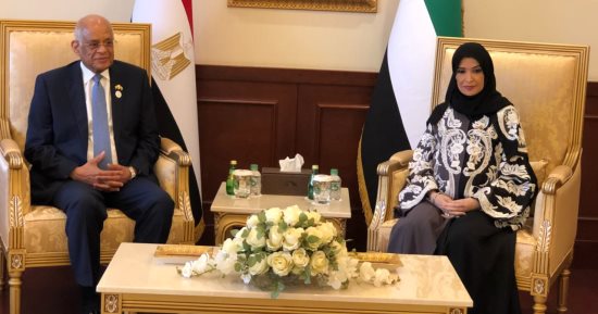 على عبدالعال ووفد البرلمان يحضرون جلسة المجلس الوطنى بالإمارات.. صور