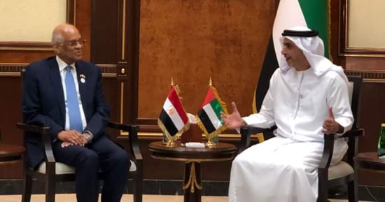 على عبد العال ووزير داخلية الإمارات يتفقان على أهمية أمن البحر الأحمر